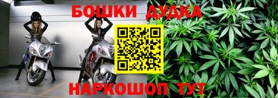 мдпв Будённовск