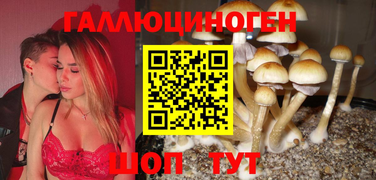 продажа наркотиков  Вход с VPN  Туймазы  Галлюциногенные грибы MAGIC MUSHROOMS 